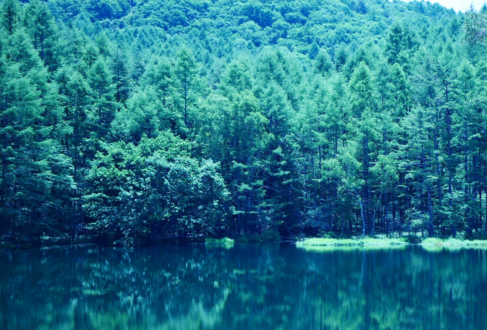 長野県蓼科