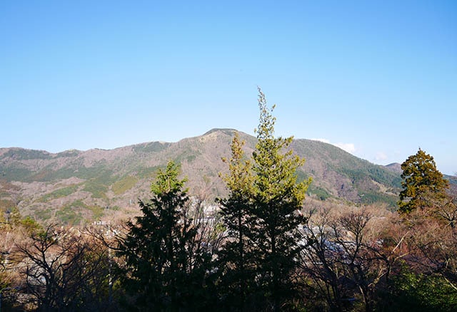 別邸今宵 風景